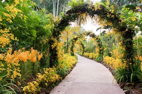  Il Giardino Botanico di Hengshui: Un'Oasi Di Pace Immerse Nella Natura Cinese!