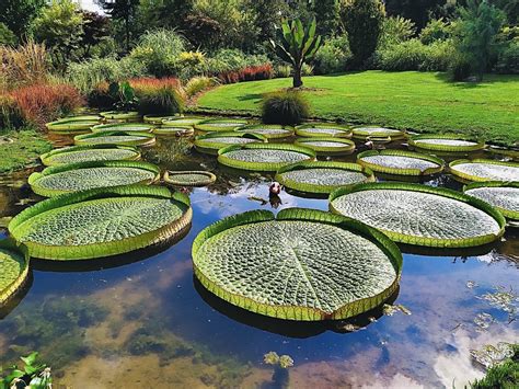  Il Giardino Botanico di Changzhou: Un trionfo floreale tra antiche mura e paesaggi mozzafiato